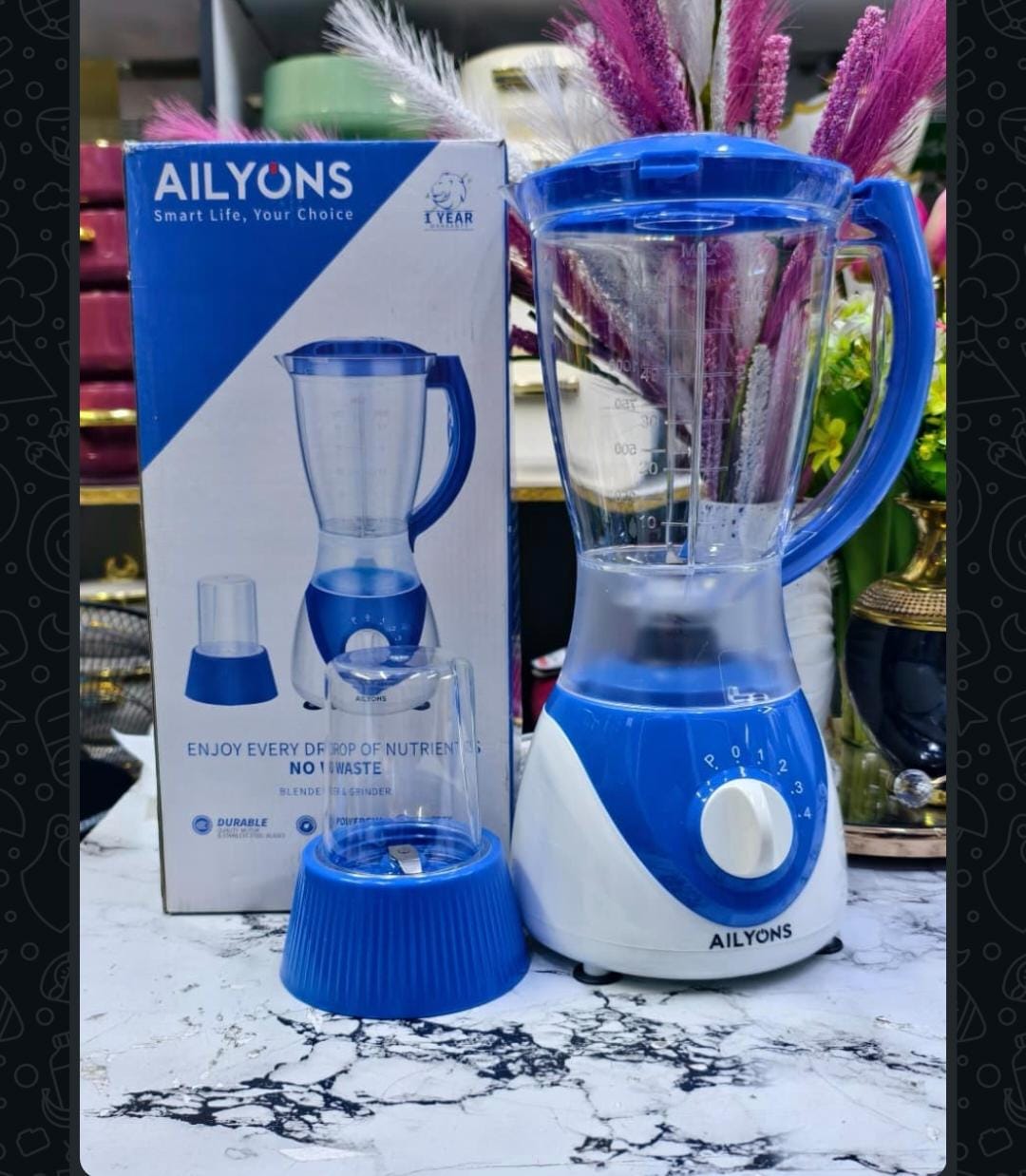 2 in 1 allyons blender